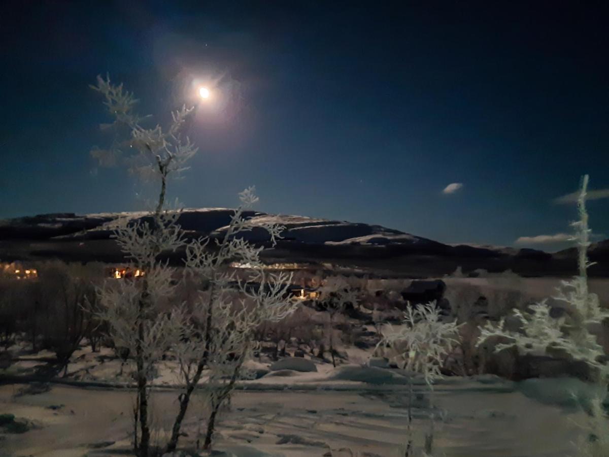 Hotel Naali Mokki Kilpisjärvi Exterior foto